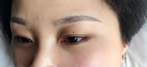 韩国眉毛图片,从传统到现代的演变轨迹